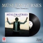 Müslüm Gürses - Tanrı İstemezse