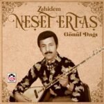 Neşet Ertaş - Zahidem / Gönül Dağı