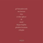 Sertab Erener - Ah Şişede Lal - Görsel 2