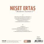 Neşet Ertaş - Bozkırın Tezenesi 2 - Görsel 2