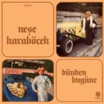 Neşe Karaböcek - Dünden Bugüne - Görsel 3