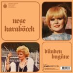 Neşe Karaböcek - Dünden Bugüne - Görsel 4
