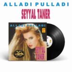 Seyyal Taner - Alladı Pulladı
