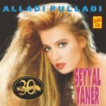 Seyyal Taner - Alladı Pulladı - Görsel 2