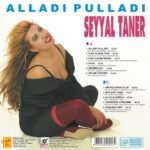 Seyyal Taner - Alladı Pulladı - Görsel 3