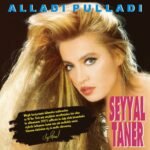 Seyyal Taner - Alladı Pulladı - Görsel 6