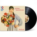 Gülden Karaböcek - Dostum