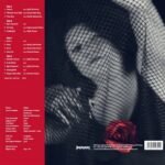 Sema - Ekho / 3.Baskı "Splatter Red Vinyl" (2 Plak) - Görsel 3
