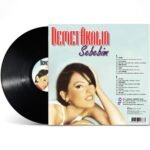 Demet Akalın - Sebebim - Görsel 2