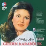 Gülden Karaböcek - Müzik ve Ben - Görsel 4