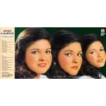 Gülden Karaböcek - Müzik ve Ben - Görsel 5