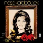 Neşe Karaböcek - Ümidini Kirpiklerine - Görsel 3