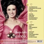 Yıldız Tilbe - Arabesk (2 Plak) - Görsel 2