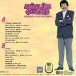 Müslüm Gürses - Senden Vazgeçmem - Görsel 4
